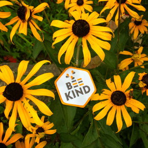 Kindness Badge